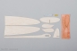 Preview: Wurfgleiter Peppsi 435mm aus Balsa mit Dekor zum aufkleben