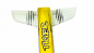 Preview: AMXFlight Tiger S Jet 55mm EDF PNP gelb für 3S Lipo