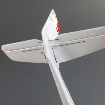 UMX Radian BNF Basic kleines immerdabei Modell für kleine Hänge oder auf dem Platz E-flite EFLU2950
