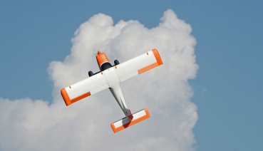 AMXPlanes Tasman PNP 1.5m STOL EPO Buschflieger