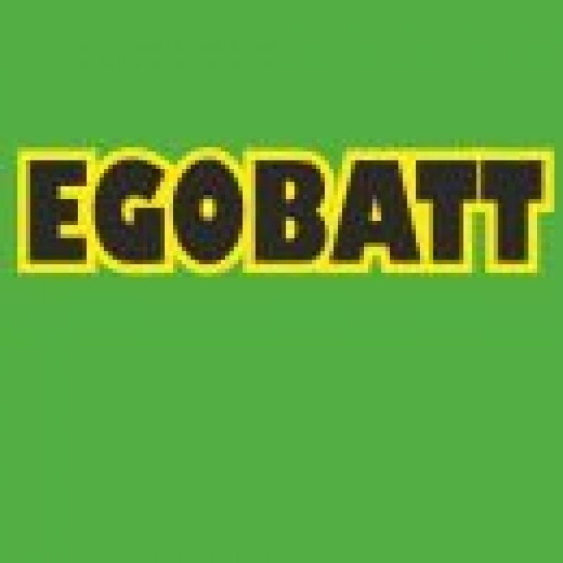 LiFe EGOBATT Akku 4000mAh 6,6V 25C MPX + JR/Uni Stecker ideal als Empfängerakku Pichler C8381