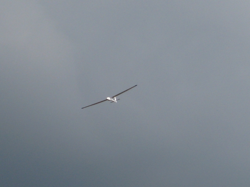 Überflug der neuen ASW-15B von RCHobbyshop